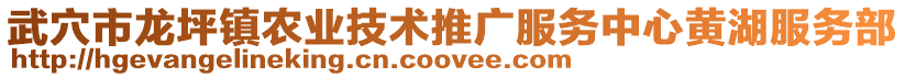 武穴市龙坪镇农业技术推广服务中心黄湖服务部