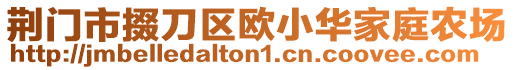 荊門市掇刀區(qū)歐小華家庭農(nóng)場