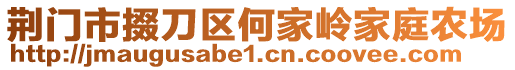 荊門市掇刀區(qū)何家?guī)X家庭農(nóng)場