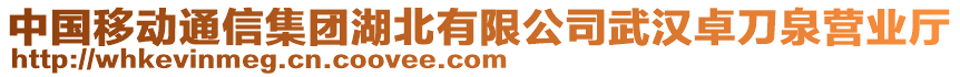 中國移動通信集團(tuán)湖北有限公司武漢卓刀泉營業(yè)廳