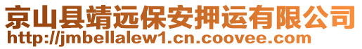 京山縣靖遠(yuǎn)保安押運(yùn)有限公司