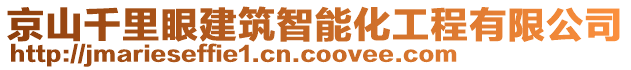 京山千里眼建筑智能化工程有限公司