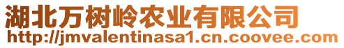 湖北萬樹嶺農(nóng)業(yè)有限公司