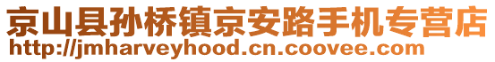 京山縣孫橋鎮(zhèn)京安路手機專營店