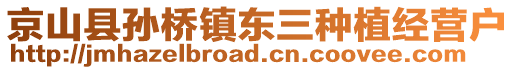 京山縣孫橋鎮(zhèn)東三種植經(jīng)營戶