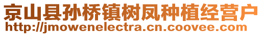 京山縣孫橋鎮(zhèn)樹鳳種植經(jīng)營戶