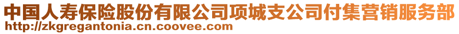 中國(guó)人壽保險(xiǎn)股份有限公司項(xiàng)城支公司付集營(yíng)銷服務(wù)部