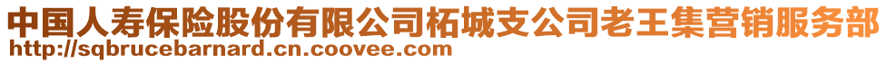 中国人寿保险股份有限公司柘城支公司老王集营销服务部