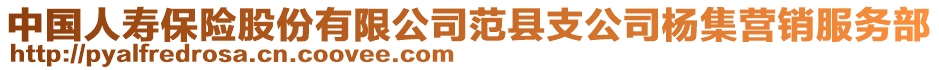 中国人寿保险股份有限公司范县支公司杨集营销服务部