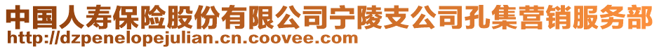 中国人寿保险股份有限公司宁陵支公司孔集营销服务部