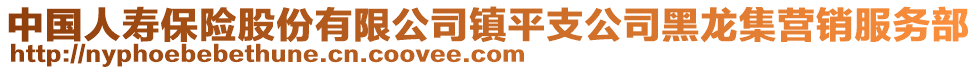 中國人壽保險(xiǎn)股份有限公司鎮(zhèn)平支公司黑龍集營銷服務(wù)部