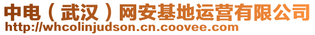 中電（武漢）網(wǎng)安基地運營有限公司