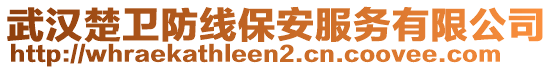 武漢楚衛(wèi)防線保安服務(wù)有限公司