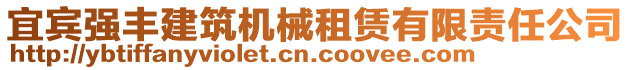 宜賓強(qiáng)豐建筑機(jī)械租賃有限責(zé)任公司