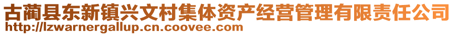 古藺縣東新鎮(zhèn)興文村集體資產(chǎn)經(jīng)營(yíng)管理有限責(zé)任公司