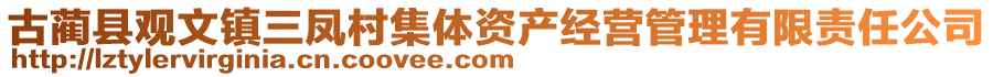 古藺縣觀文鎮(zhèn)三鳳村集體資產經營管理有限責任公司