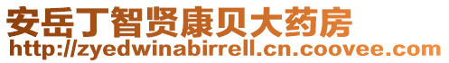 安岳丁智賢康貝大藥房