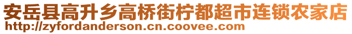 安岳縣高升鄉(xiāng)高橋街檸都超市連鎖農(nóng)家店