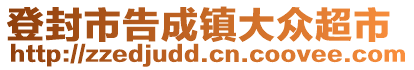 登封市告成鎮(zhèn)大眾超市