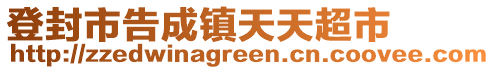 登封市告成鎮(zhèn)天天超市