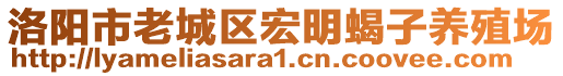 洛阳市老城区宏明蝎子养殖场