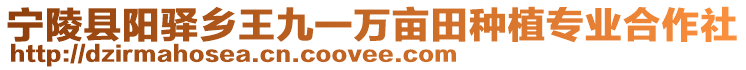 寧陵縣陽驛鄉(xiāng)王九一萬畝田種植專業(yè)合作社