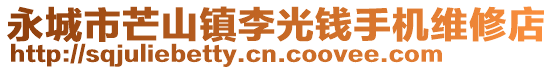 永城市芒山鎮(zhèn)李光錢手機(jī)維修店