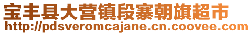 宝丰县大营镇段寨朝旗超市