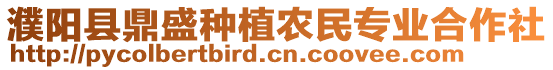 濮陽(yáng)縣鼎盛種植農(nóng)民專業(yè)合作社