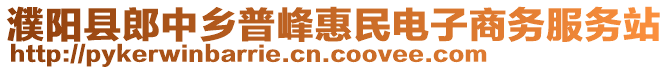 濮陽縣郎中鄉(xiāng)普峰惠民電子商務(wù)服務(wù)站