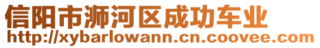 信陽市浉河區(qū)成功車業(yè)