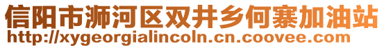 信陽市浉河區(qū)雙井鄉(xiāng)何寨加油站