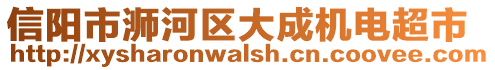 信陽市浉河區(qū)大成機(jī)電超市