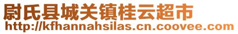 尉氏县城关镇桂云超市