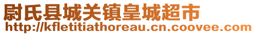 尉氏县城关镇皇城超市