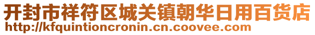 开封市祥符区城关镇朝华日用百货店