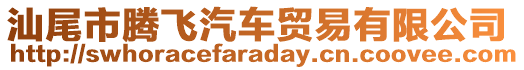 汕尾市腾飞汽车贸易有限公司