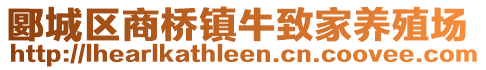 郾城区商桥镇牛致家养殖场