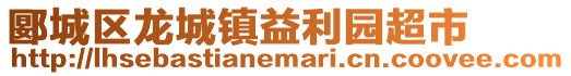 郾城區(qū)龍城鎮(zhèn)益利園超市