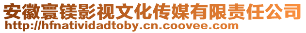 安徽寰鎂影視文化傳媒有限責任公司