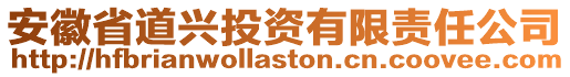 安徽省道兴投资有限责任公司