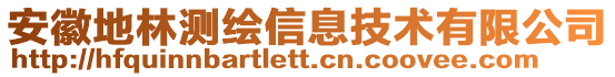 安徽地林測繪信息技術有限公司