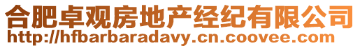 合肥卓觀房地產經紀有限公司
