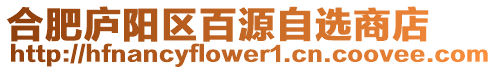 合肥廬陽區百源自選商店