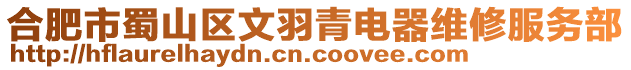 合肥市蜀山區文羽青電器維修服務部