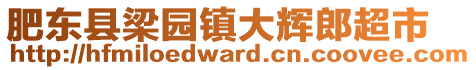 肥東縣梁園鎮(zhèn)大輝郎超市