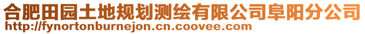 合肥田園土地規(guī)劃測繪有限公司阜陽分公司