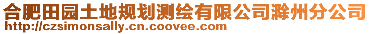 合肥田園土地規(guī)劃測繪有限公司滁州分公司