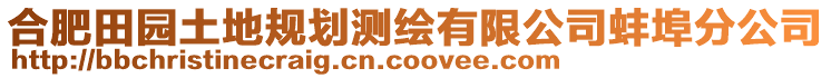 合肥田園土地規(guī)劃測(cè)繪有限公司蚌埠分公司