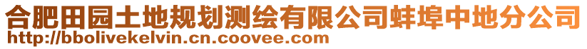 合肥田園土地規(guī)劃測(cè)繪有限公司蚌埠中地分公司